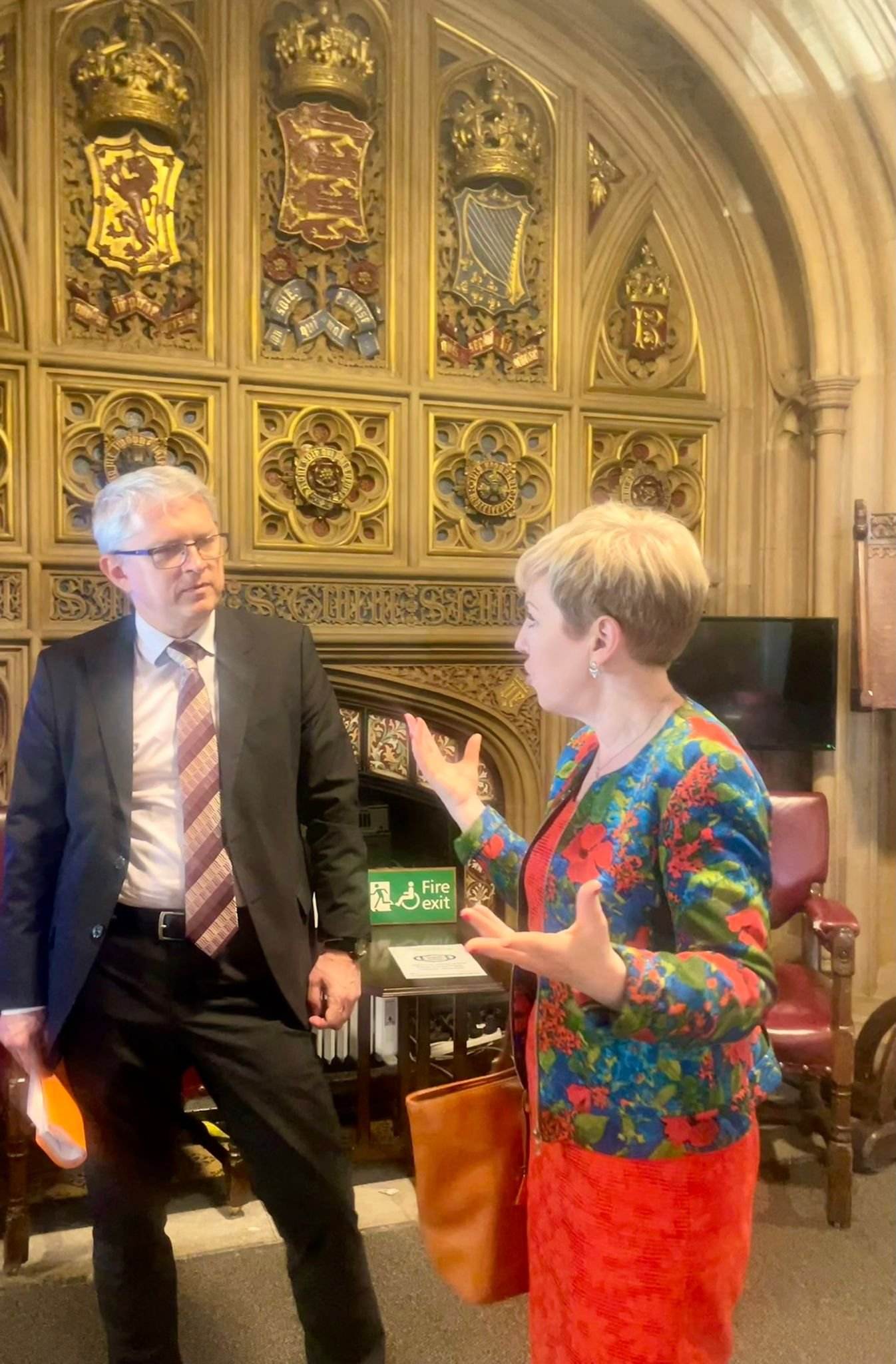 Radu Mihail at a bilateral meeting in the UK Parliament