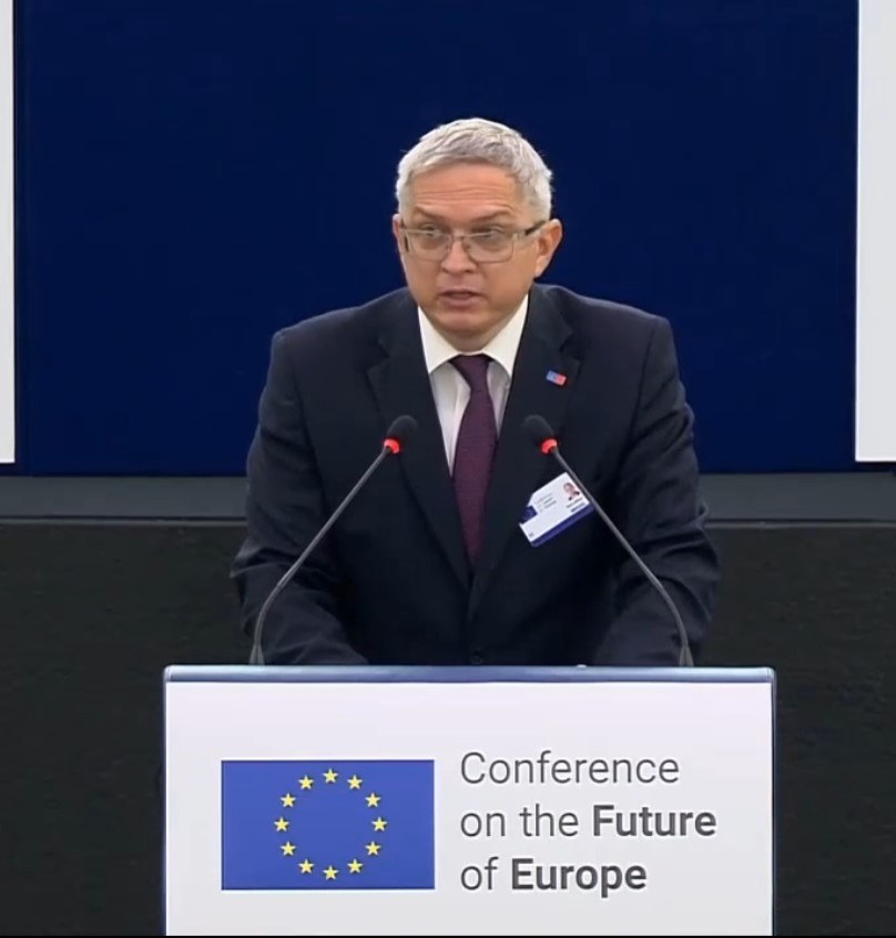 Radu Mihail at the Conference on the Future of Europe