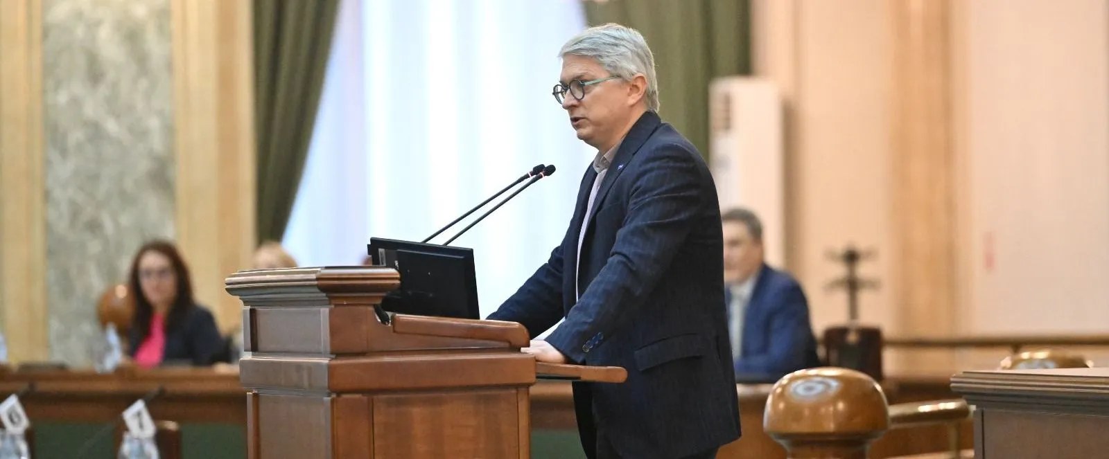 Radu Mihail addressing the Senate